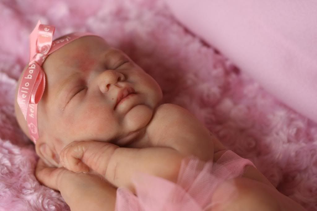 denise farmer reborn dolls